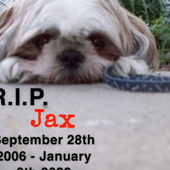 Meet your Posher, Maurora - Picture 1 of 1